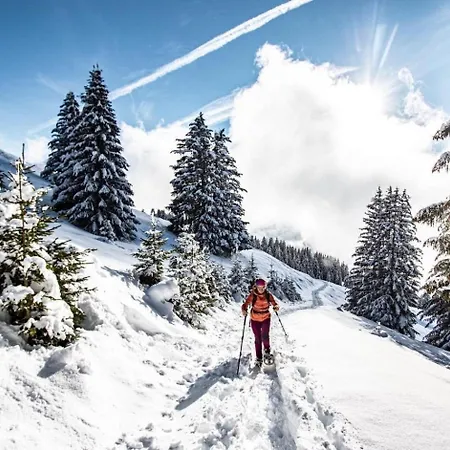 Yeti Yt76b1 Sun & View 6 Pers Châtel