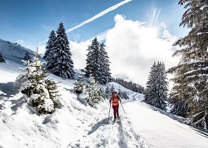 Yeti Yt76b1 Sun & View 6 Pers Châtel